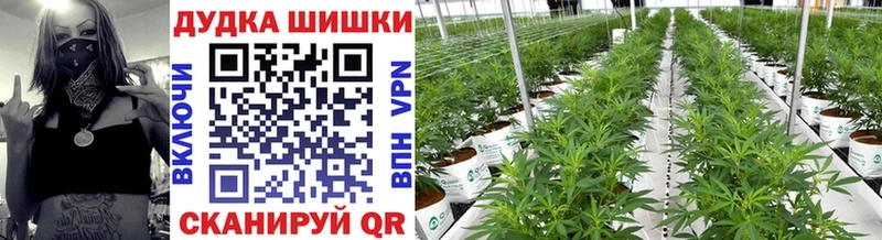 Марихуана White Widow  Купить где  Остров 